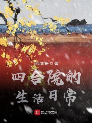 四合院的生活日常笔趣趣