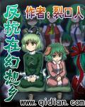 反抗在幻想乡 第二部