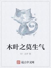 木叶之莫生气txt全本