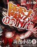 我的魔法时代人物关系