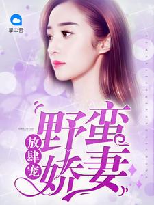 野蛮小娇妻电视剧