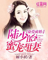 染爱成婚陆少蜜宠甜妻免费阅读