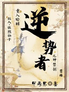 逆势者彼得·蒂尔传epub百度