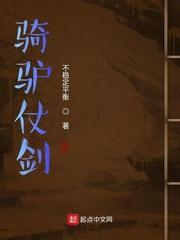 骑驴仗剑 顶点