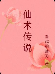 仙术书籍