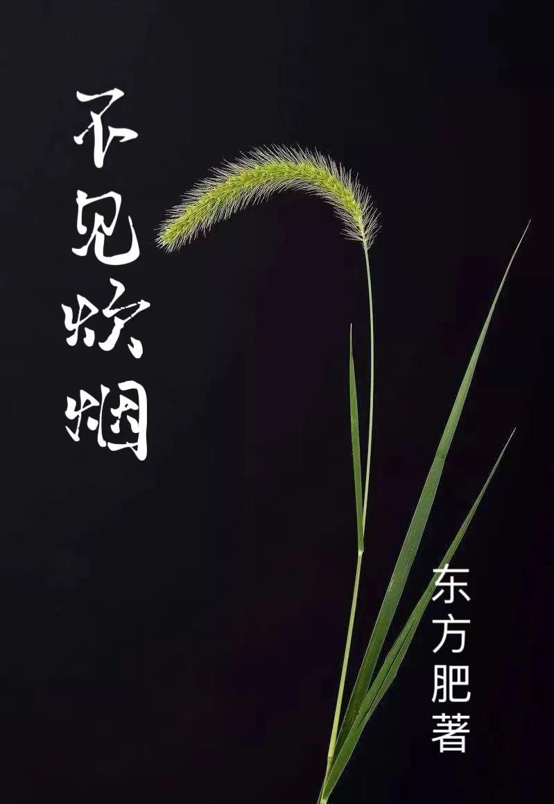 不见炊烟二胡版