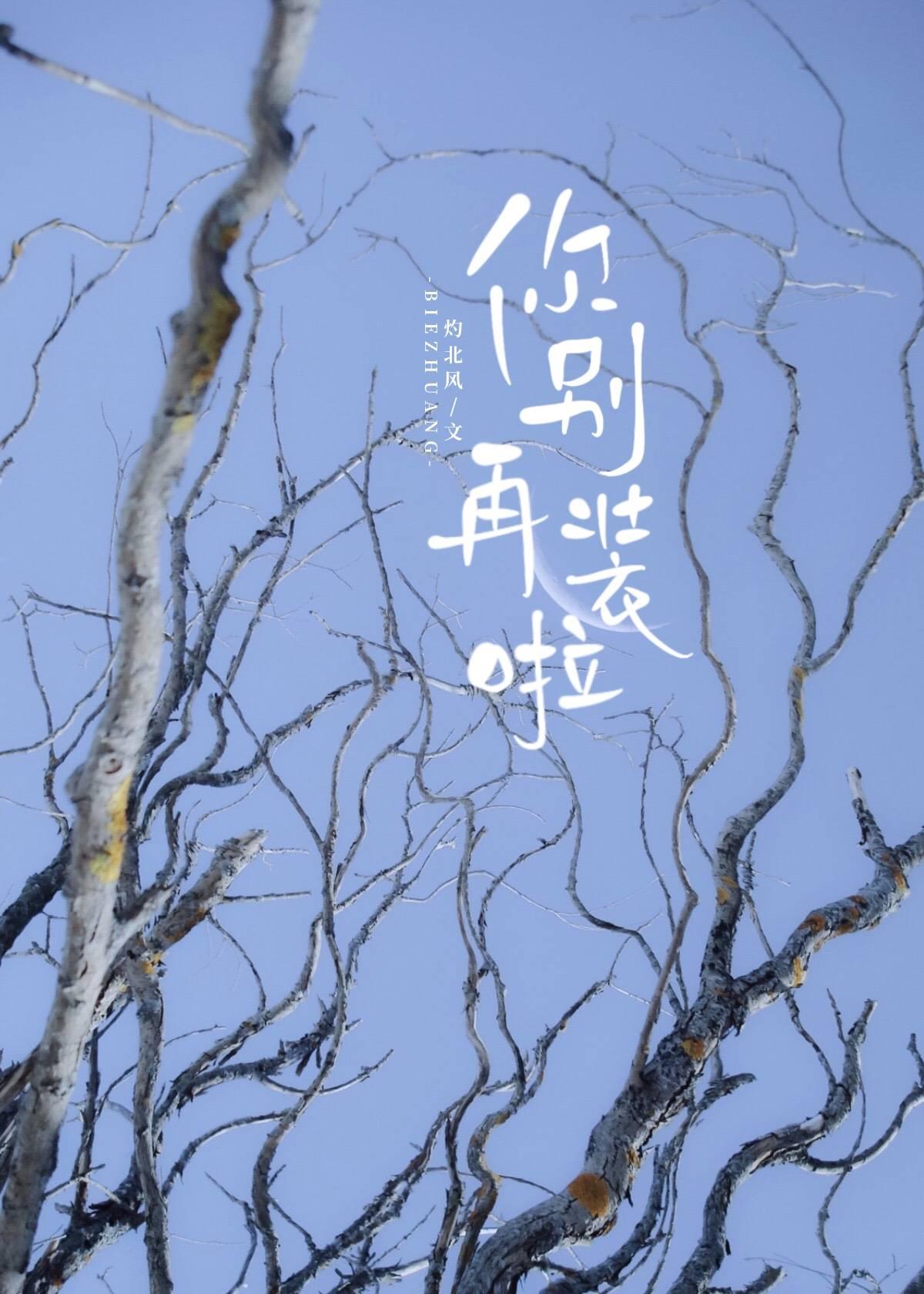 你别装了[系统