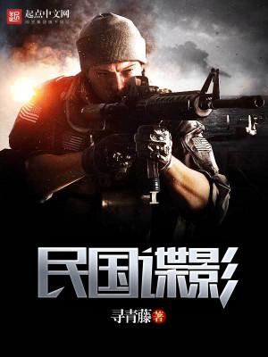 民国谍影第二部