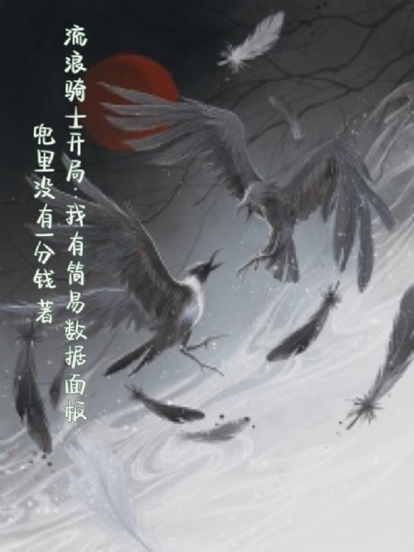 流浪骑士开局我有简易数据面板地图笔趣