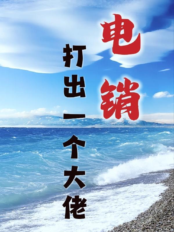 电销打出一个大佬