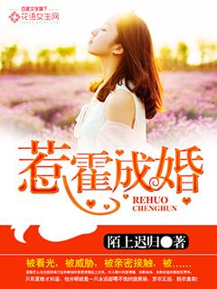 惹霍成婚夏晚身世