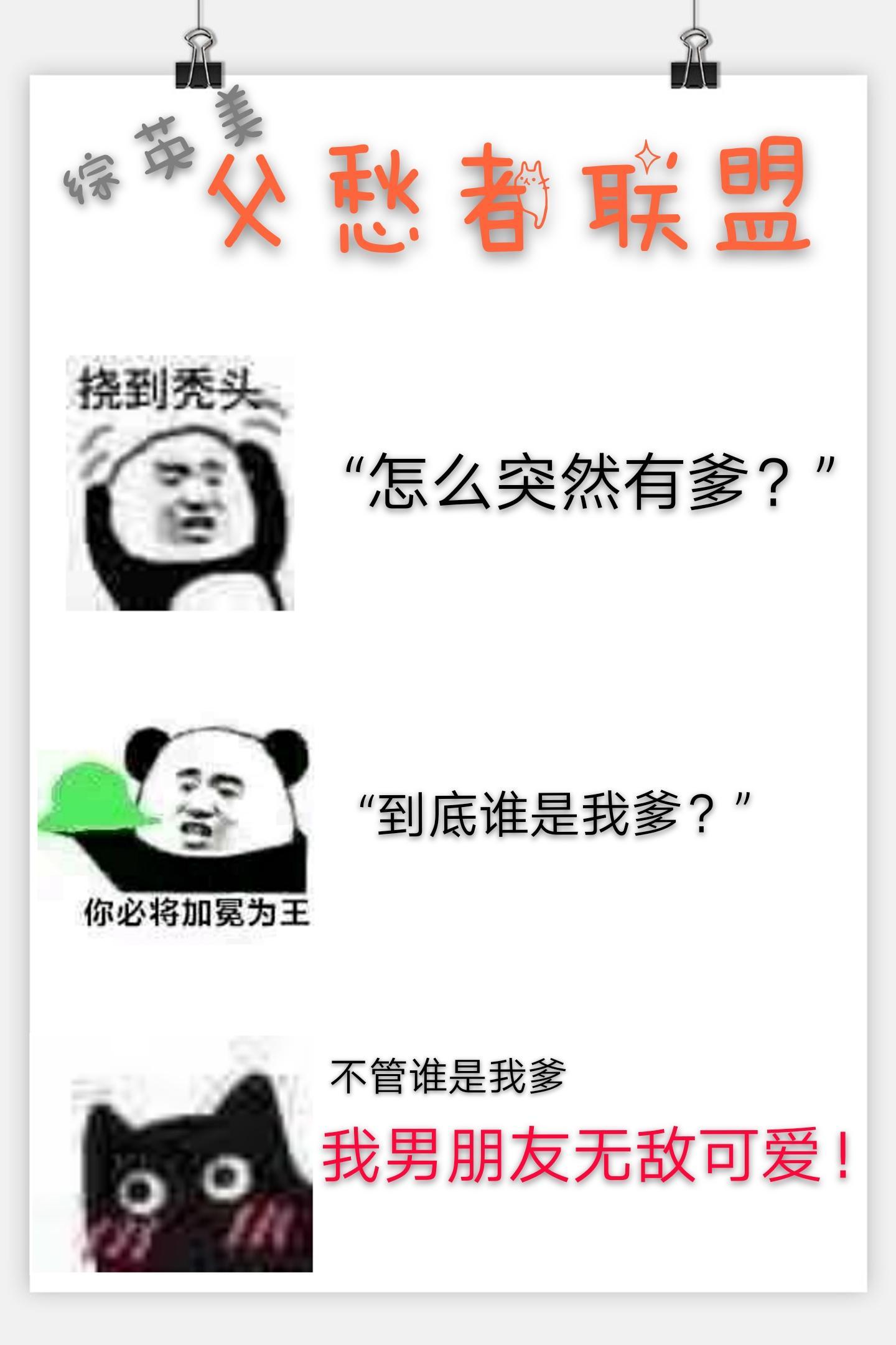 综英美父愁者联盟txt