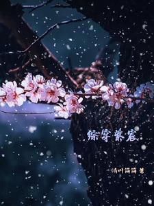 综影视紫宸随心所欲