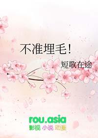 不准埋毛免费阅读