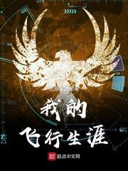 我的飞行生涯 一共多少章