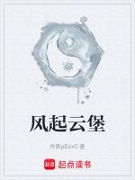 风起云用