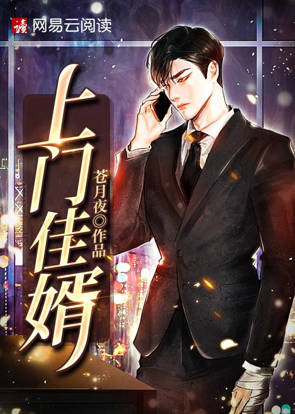 上门佳婿txt全本免费