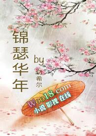 锦瑟华年讲了什么