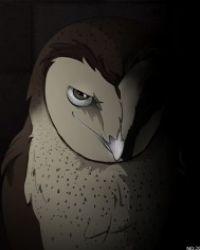 万圣节的猫头鹰怎么画