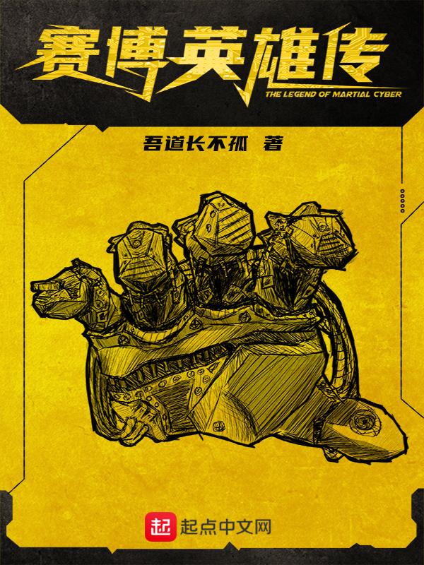 赛博英雄传大权