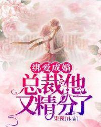 绑爱成婚:总裁他又精分了