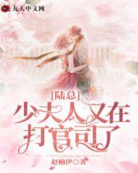 陆总，少夫人又在打官司了