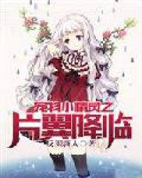 宠物小精灵之片翼降临