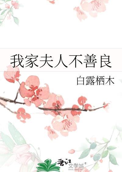 我家夫人不善良