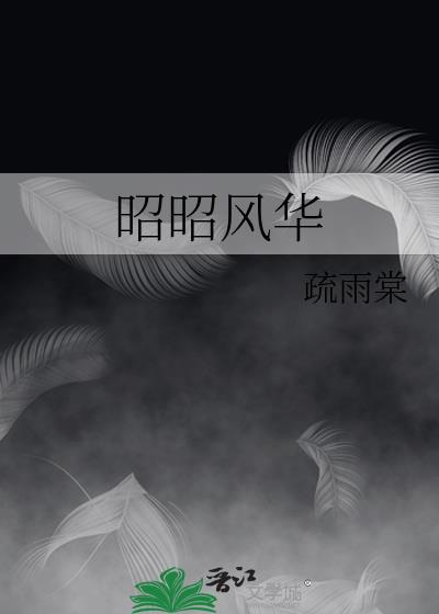 昭昭风华