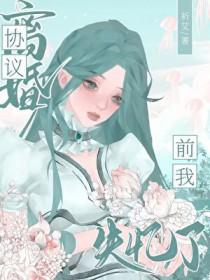 协议离婚前我失忆了