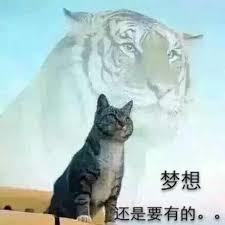 一人：师兄张之维，通满级金光咒