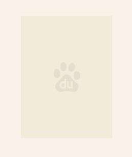 让我替身顶罪？我干脆上位掀翻全家！