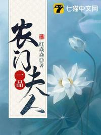 农门一品夫人